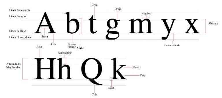 Conoces la importancia de la tipografía Parte 1 Seele Comunicación